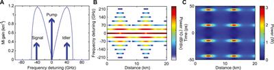 Heterodyne Optical Time Domain Reflectometer Combined With Active Loss Compensation: A Practical Tool for Investigating Fermi Pasta Ulam Recurrence Process and Breathers Dynamics in Optical Fibers